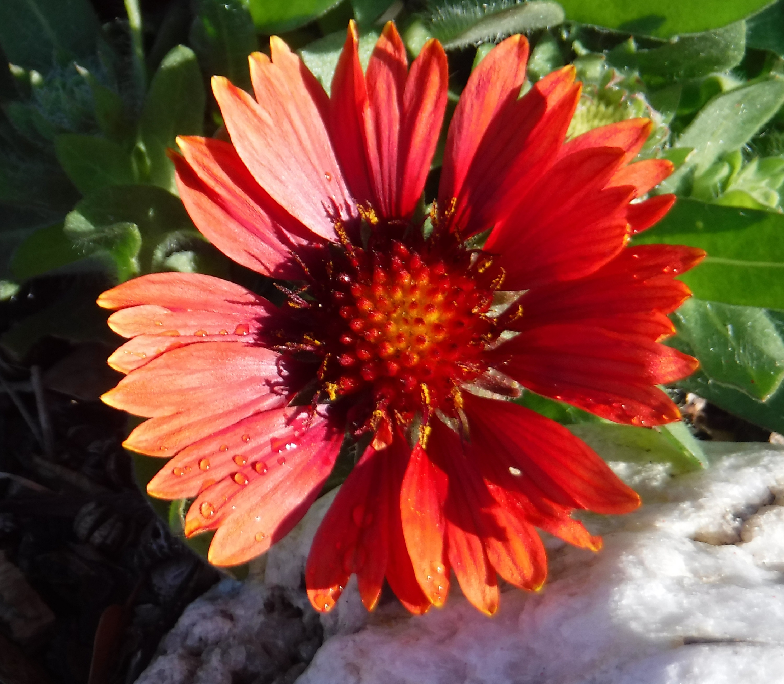Photo taken by me 4-23-19