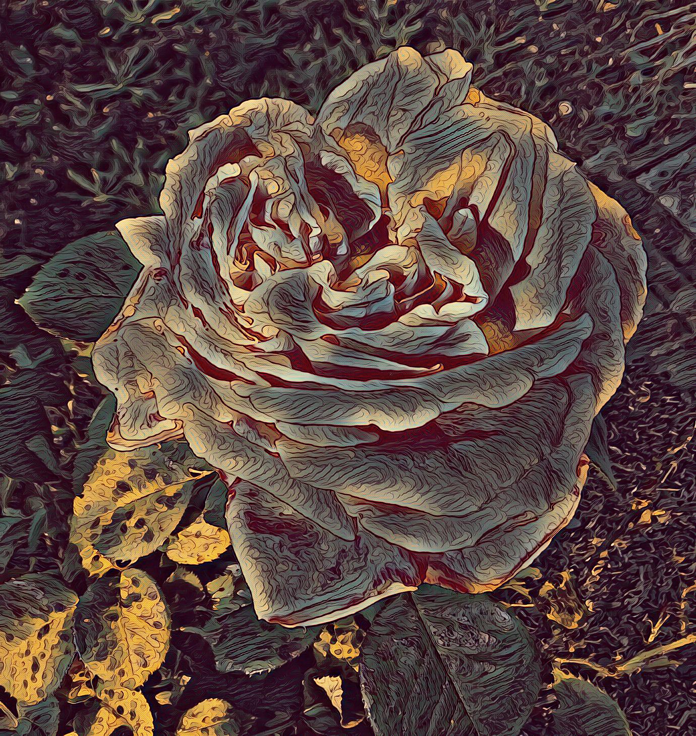 Photo taken by me with Dark Effect on LunapI.com Photo taken by me with Dark Effect on LunapI.com