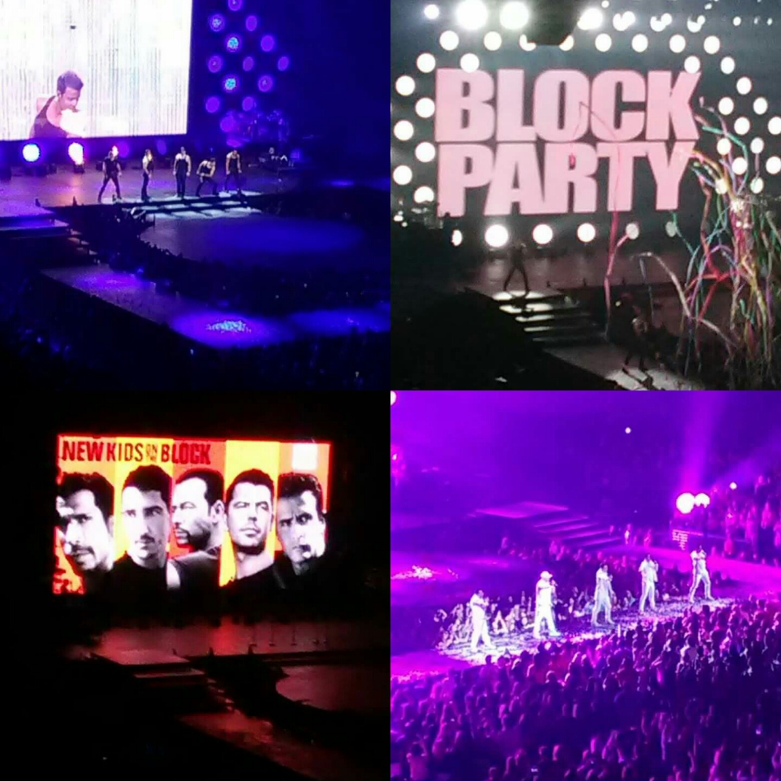 Photo Credit: I snapped these photos at the NKOTB show I attended in DC (in 2017). The collage was made by me.