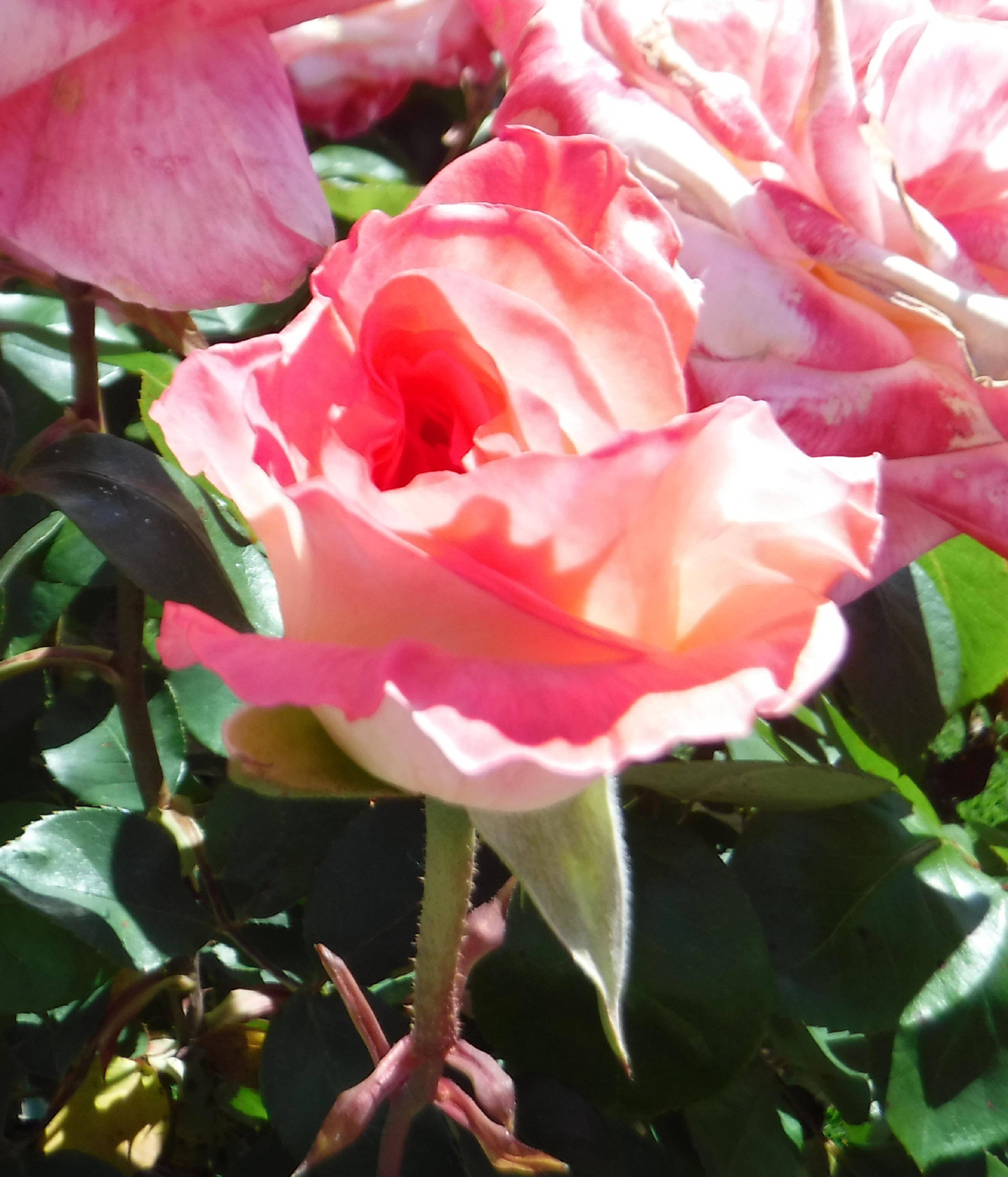 Photo taken by me Photo taken by me
