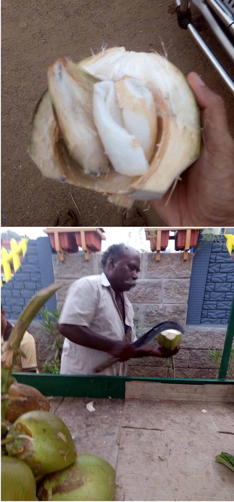 Tender coconut, cool, summer