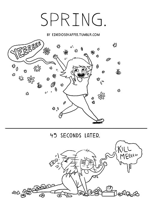 allergy reaction in spring allergy reaction in spring