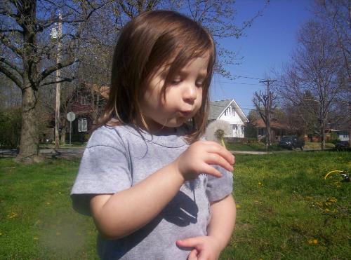audrey - my neice