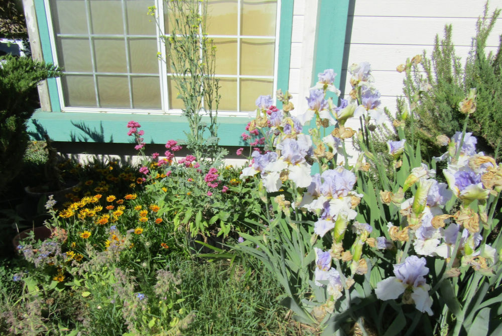 Front Flower Bed