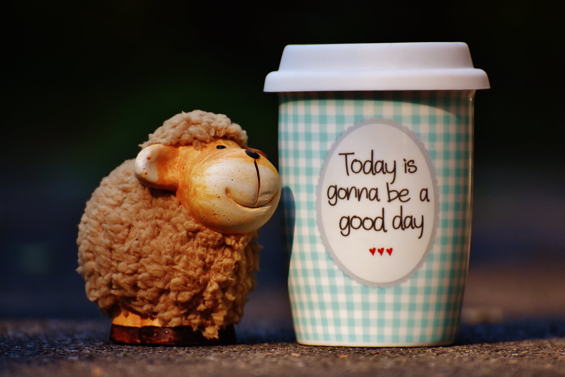 Even a sheeps cup can be running over with positiveness!