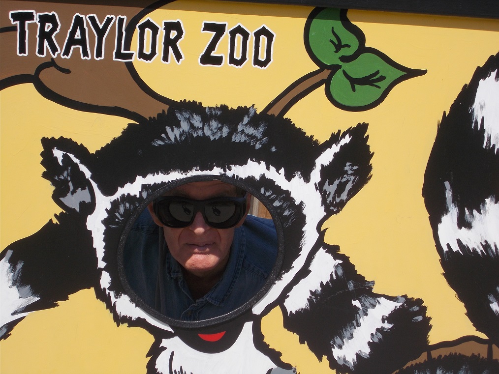 Lets pretend to be a lemur Lets pretend to be a lemur