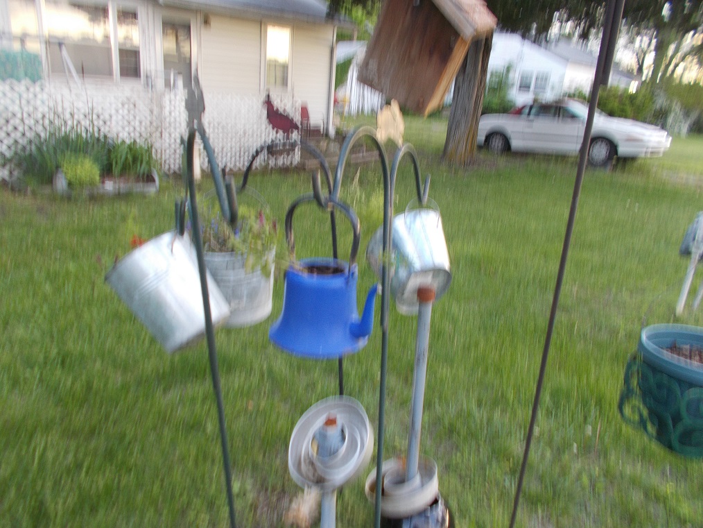 My odd hanging collection My odd hanging collection