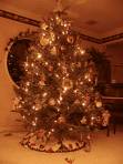 Christmas Tree - Picture of a Christmas Tree.
