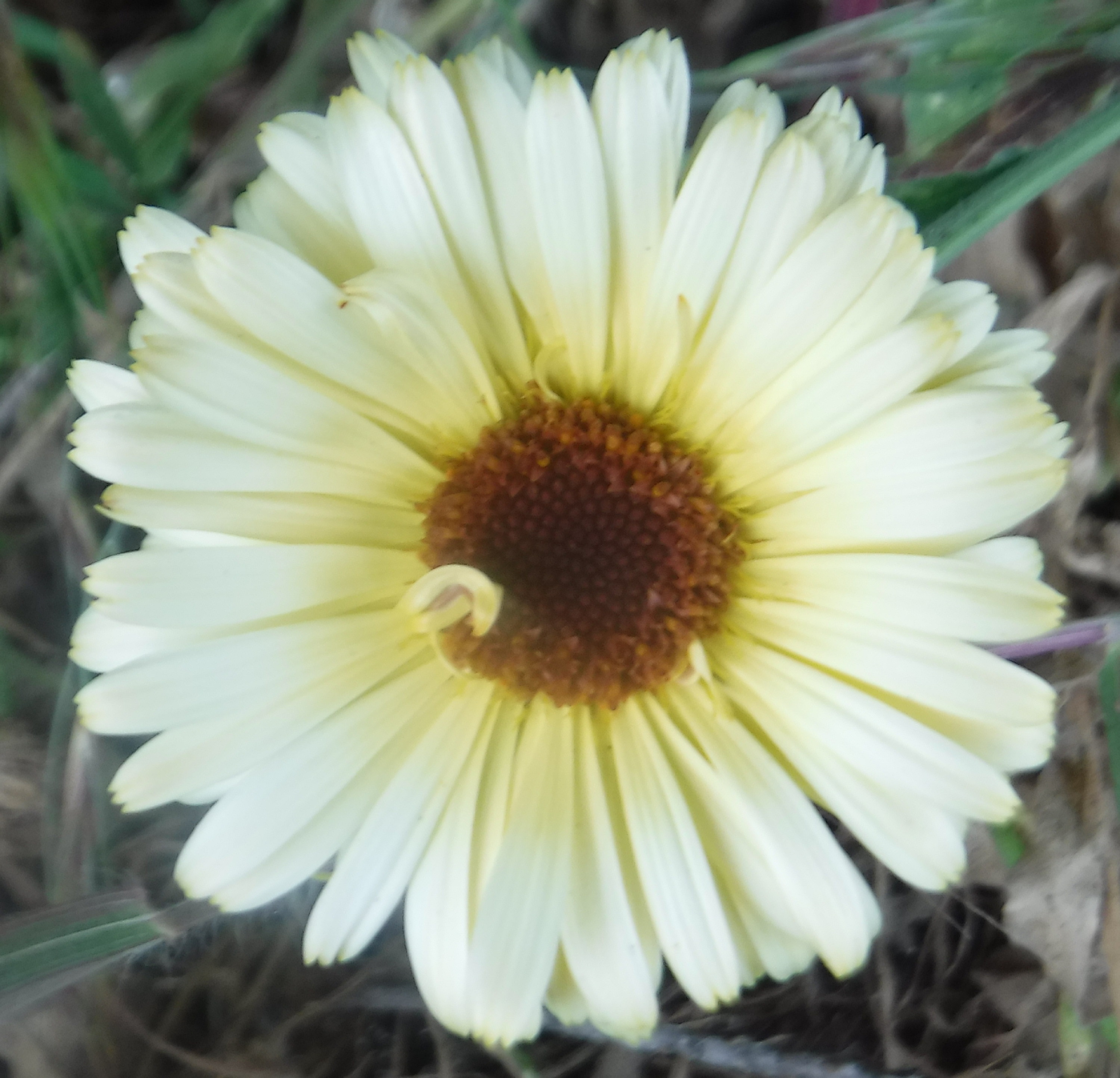 Photo taken by me