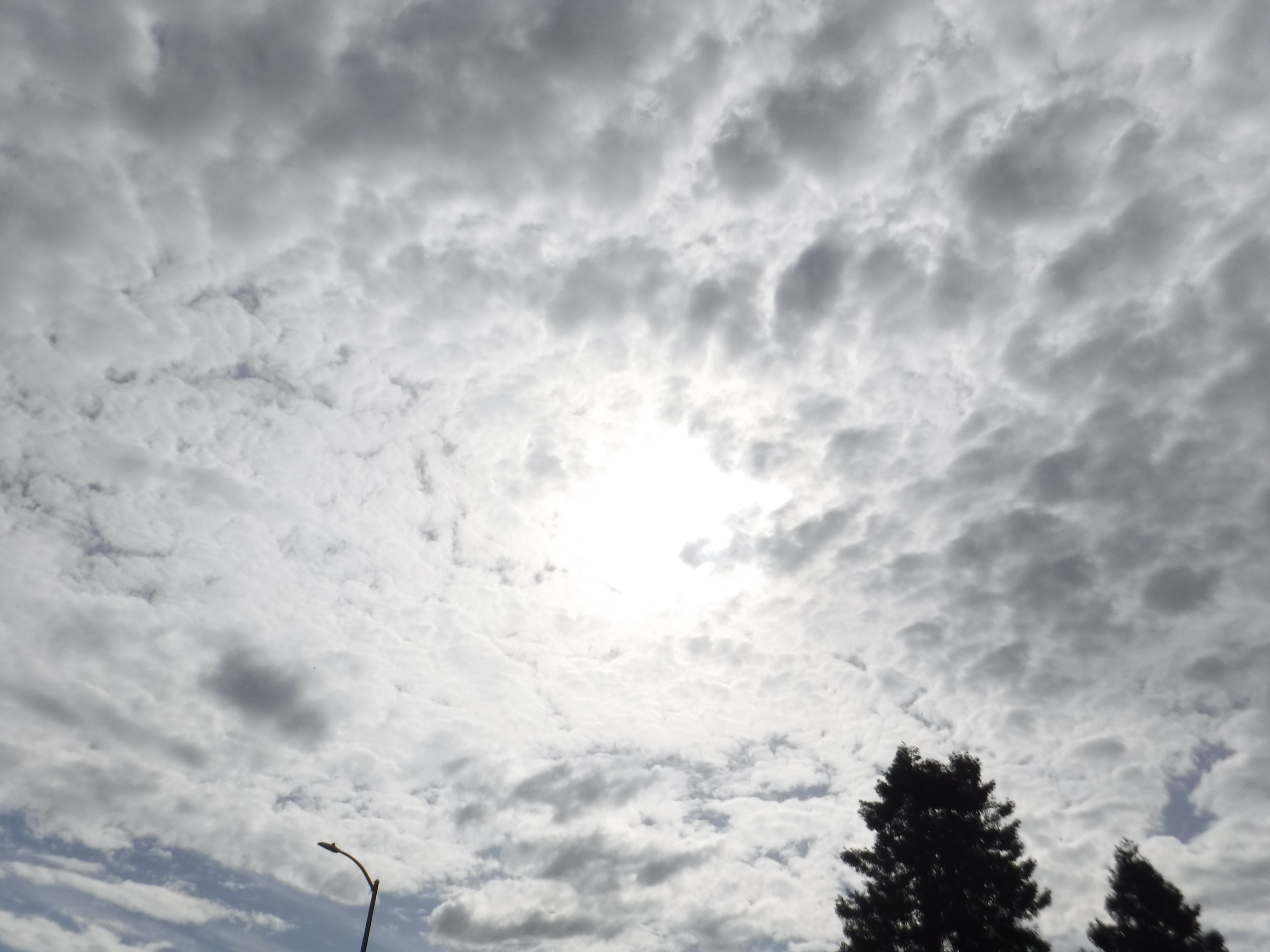 Photo taken by me 5-23-19 Photo taken by me 5-23-19