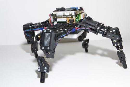 Robo walk - Some robots are good at scrubbing floors, others at lobbing a basketball. Generally speaking, though, they're not very good at anything not in a very limited job description. That's why it's worth paying attention to a four-legged machine unveiled Thursday by researchers at Cornell University.  Even though it's pretty much all legs, the robot doesn't know--at first--that it can walk. Rather, it's been programmed to figure that out on its own, starting with only the knowledge of what its parts are, but not how to use them. Through a 16-step process of trial and error, it builds computer models of how its parts might be arranged and how best to move them. 'The machine does not have a single model of itself--it has many, simultaneous, competing, different, candidate models. The models compete over which can best explain the past experiences of the robot,' Cornell professor Hod Lipson said in a statement.