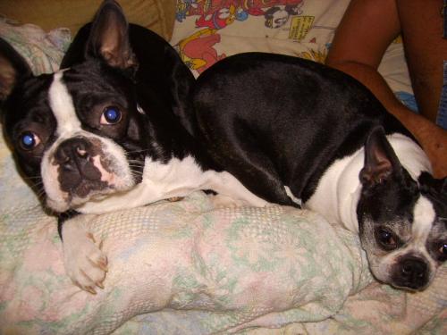Boogie Boo & Samone - Mother and her son, aren't they too cute?!