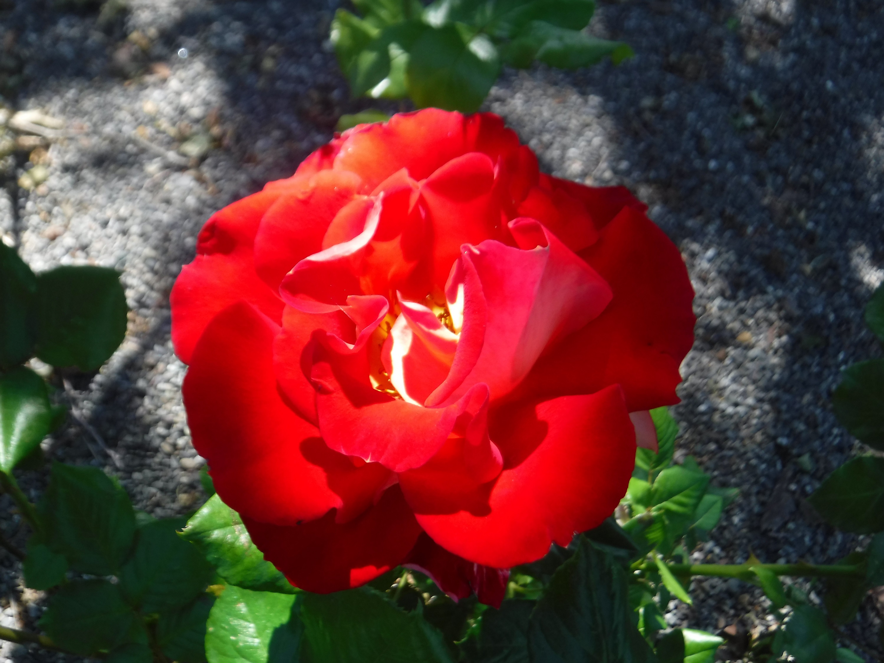 Photo taken by me Photo taken by me