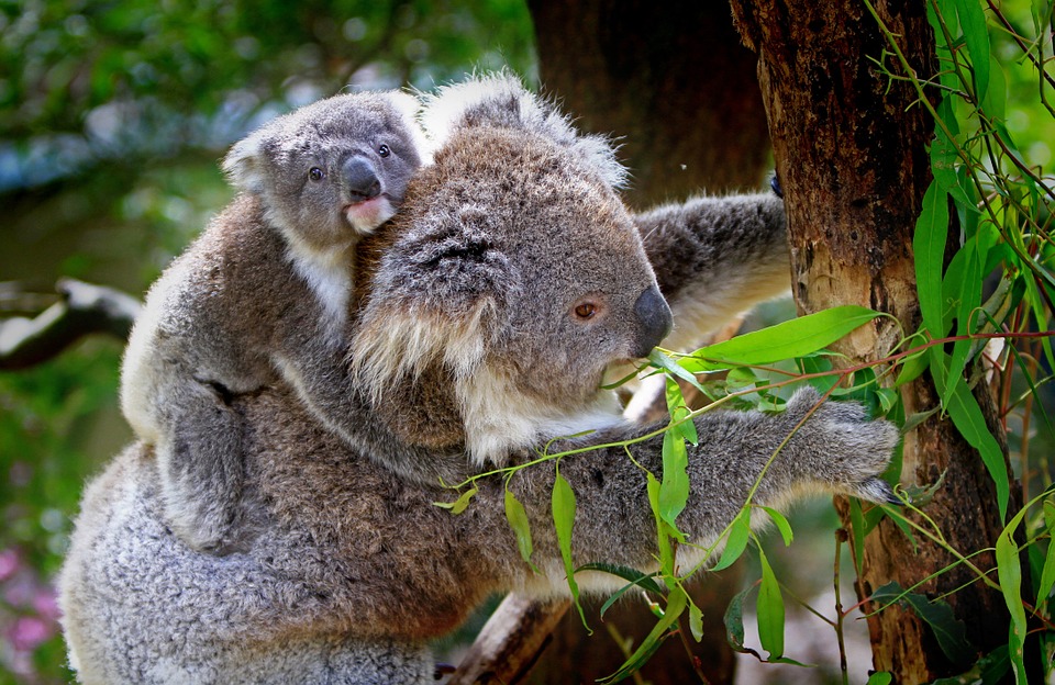The bond of a mother and her child is made with love The bond of a mother and her child is made with love