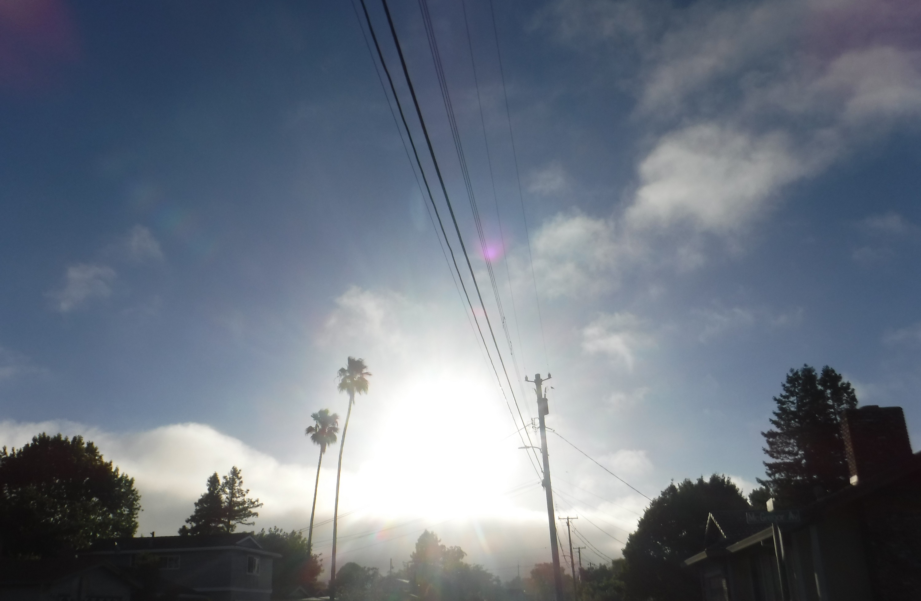 Photo taken by me 6-6-19