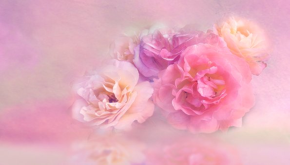 Flowers Flowers