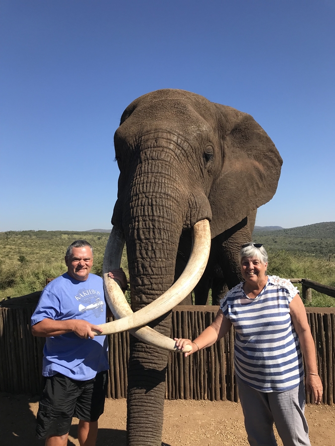 Rambo the Elephant at Bayete Game Reserve 