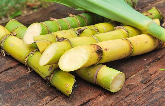 Sugarcane picture: Courtesy of google
