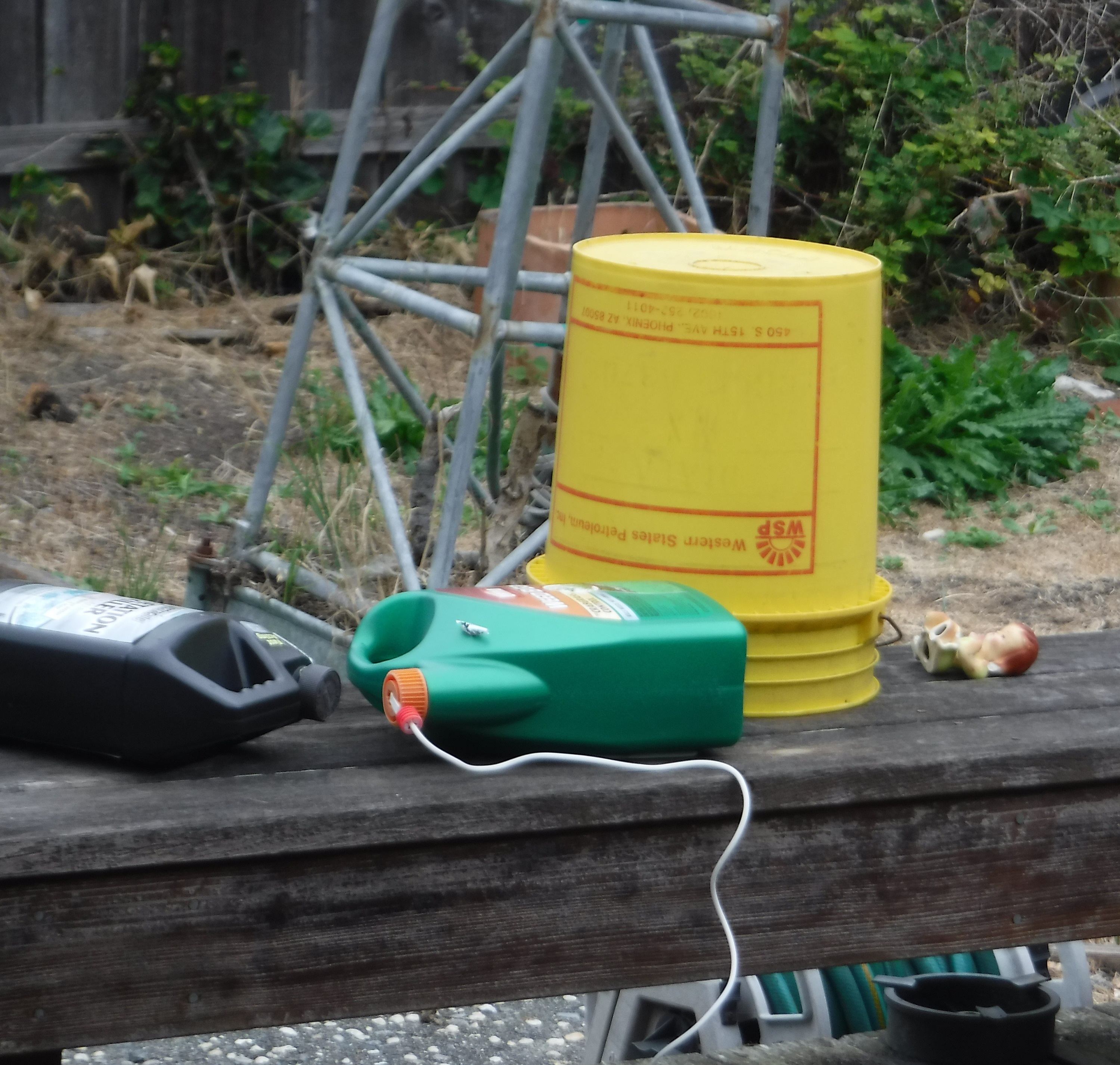 Photo I took of the five gallon bucket in my backyard Photo I took of the five gallon bucket in my backyard