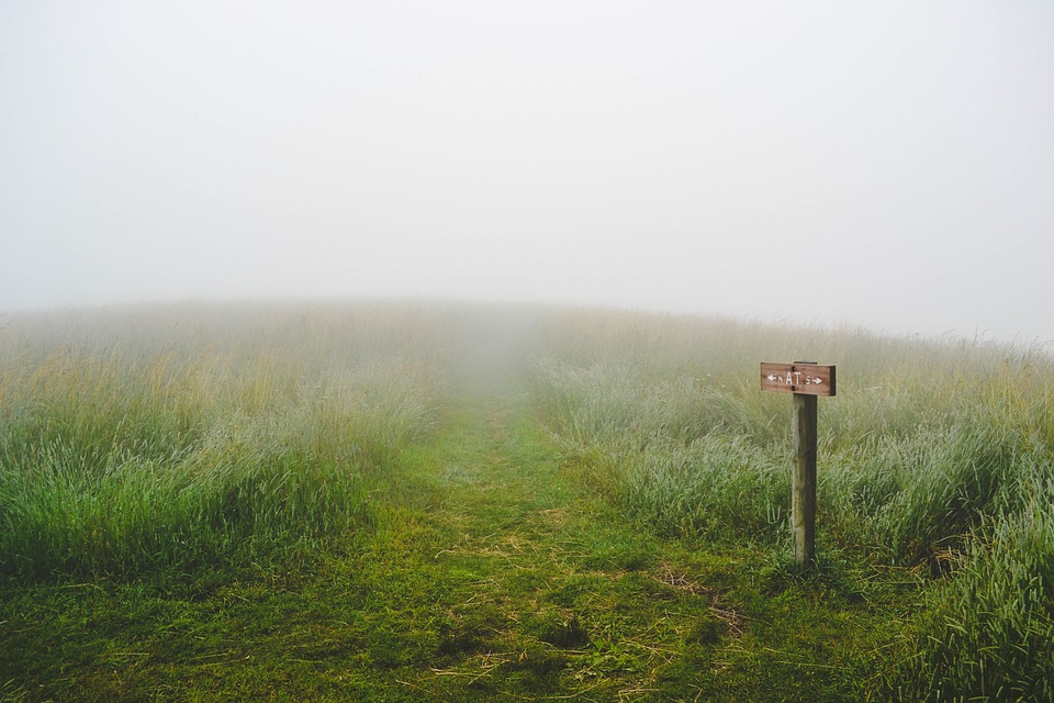 There are usually signs amongst the long grass, but it is our choice whether to follow them, or not.
