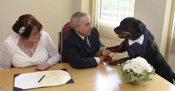 Margaret Allison, Christopher McCarron and Jack the Rottweiler