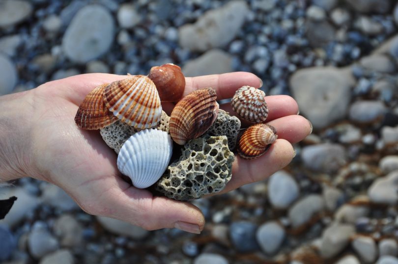 http://www.macmillandictionaryblog.com/beachcombing