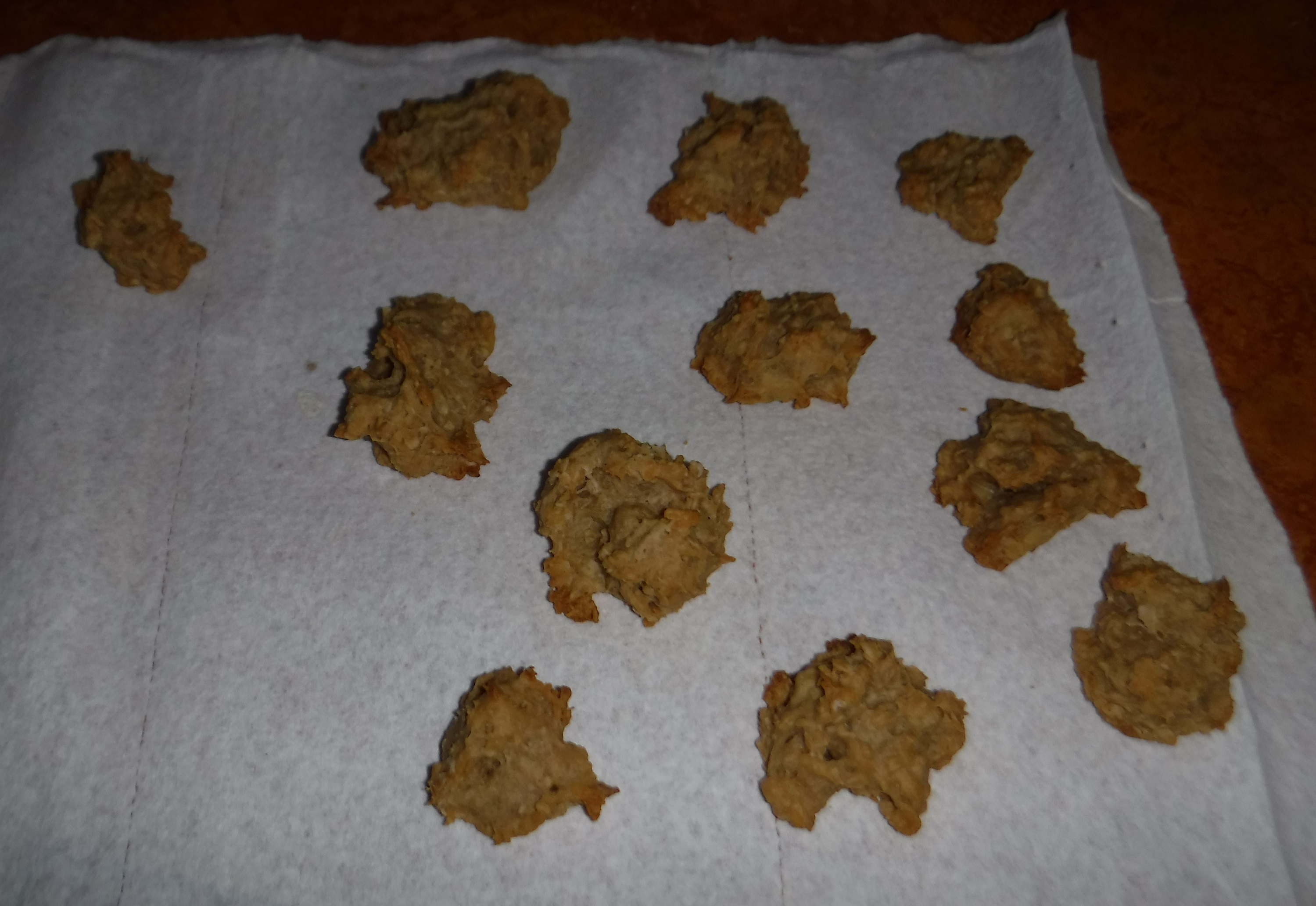 Photo I took of the first batch of dog treats cooling Photo I took of the first batch of dog treats cooling