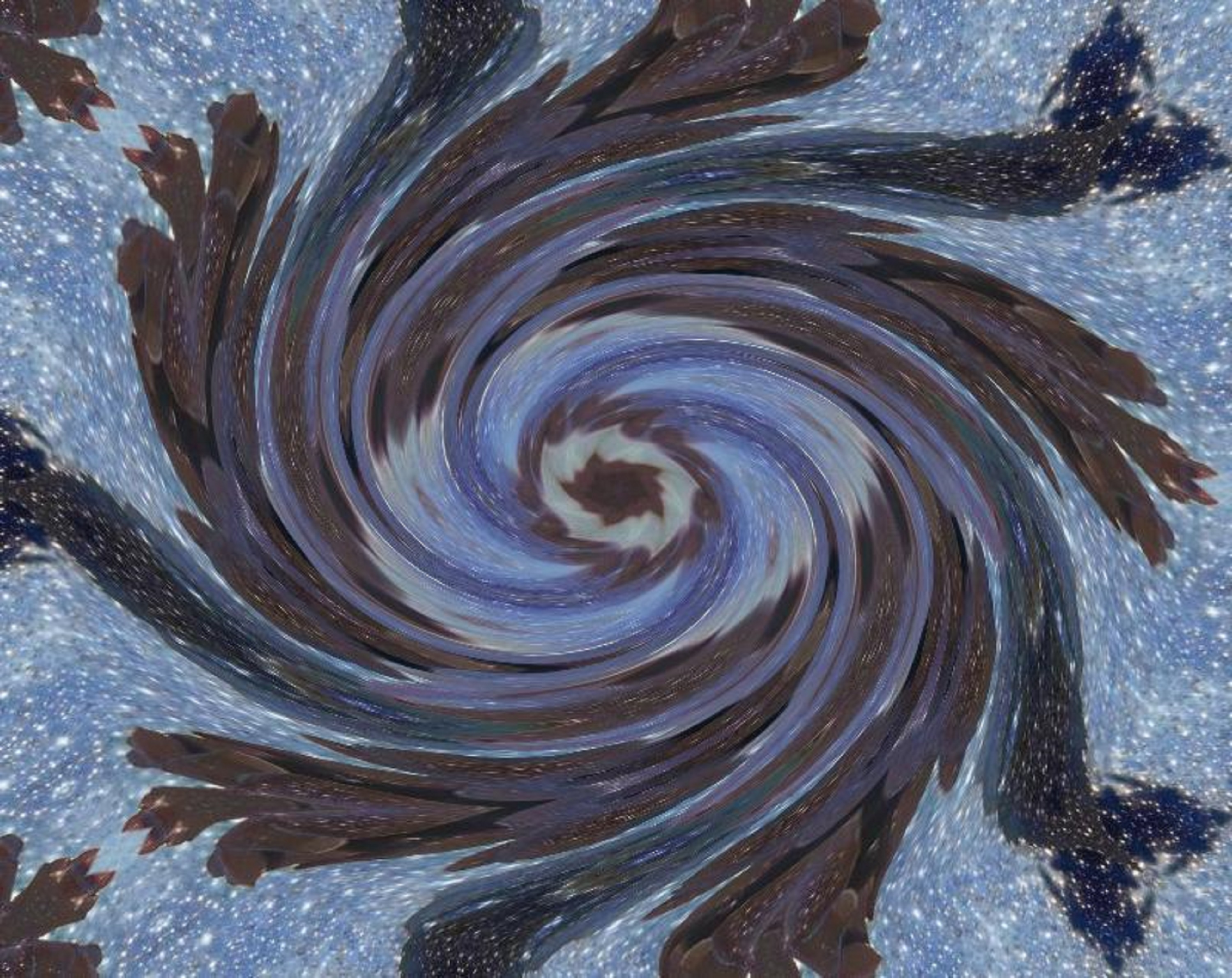 Photo taken by me with Kaliedescope x5, Space and Swirl x 300 effects on LunaPic.com