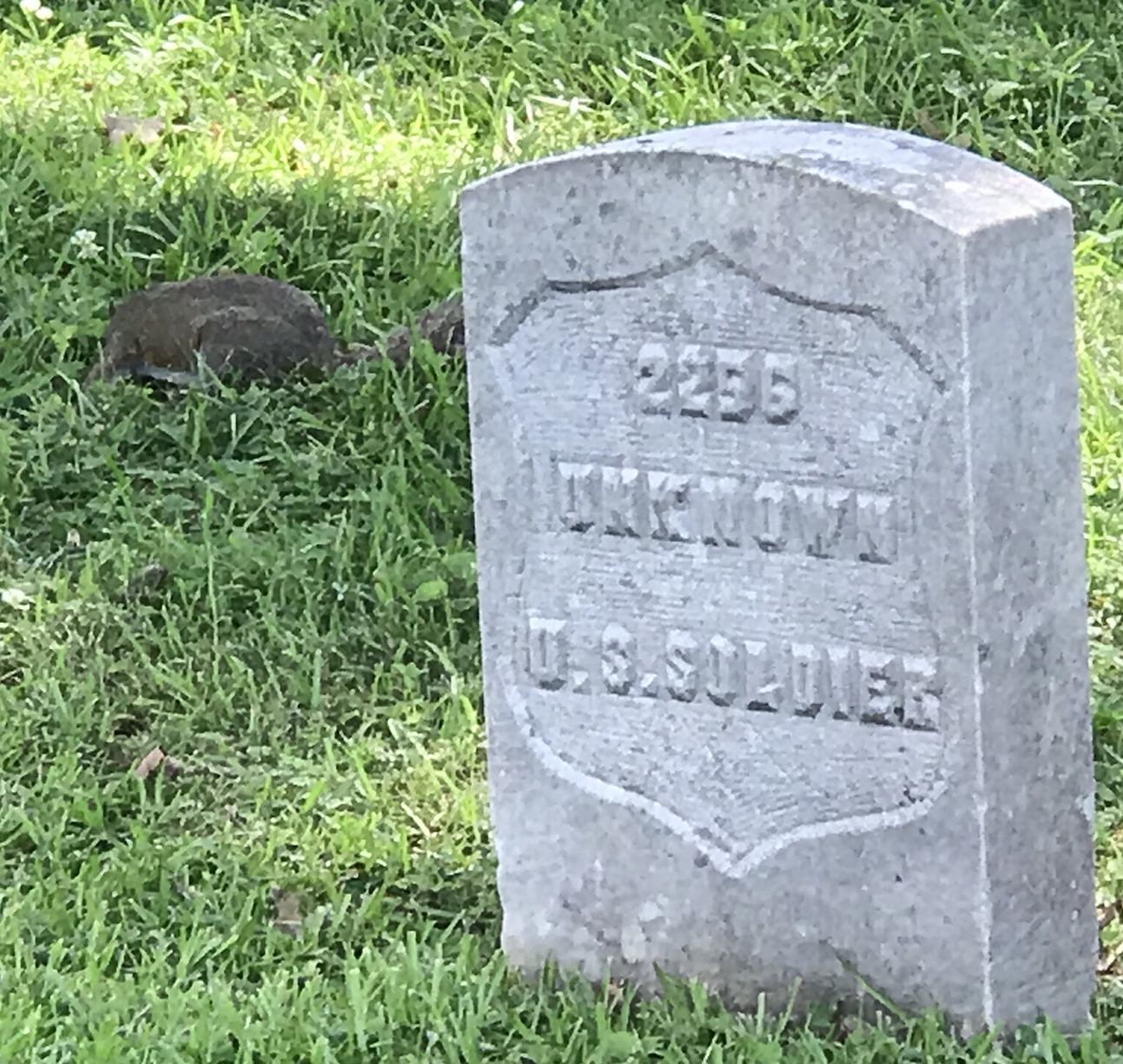 The contrast of a squirrel peacefully hunting for food near an unknown Union soldier’s grave at Shiloh National Military Park. Photo taken by and the property of FourWalls. The contrast of a squirrel peacefully hunting for food near an unknown Union soldier’s grave at Shiloh National Military Park. Photo taken by and the property of FourWalls.