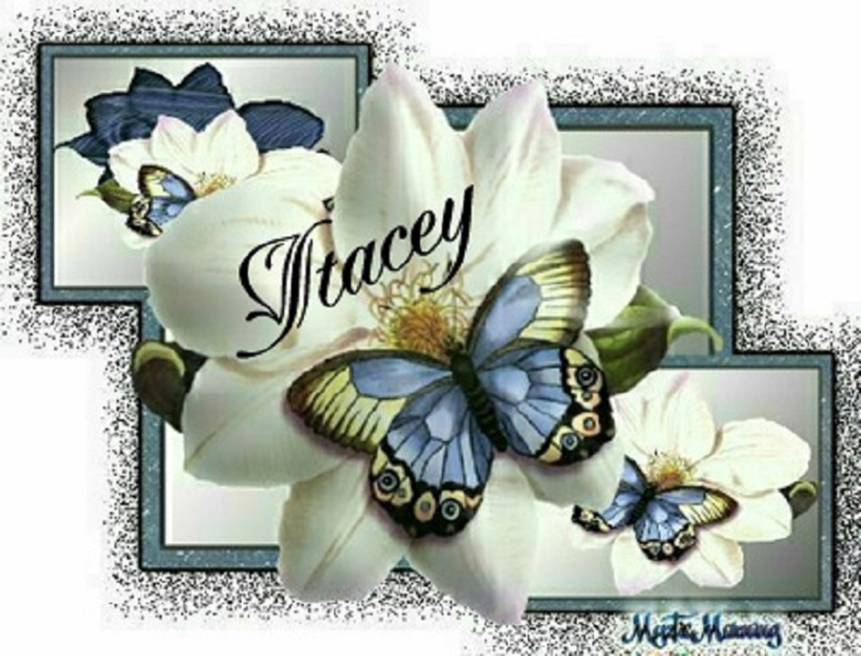 Tag created for me by Fudge and Friends Taggers