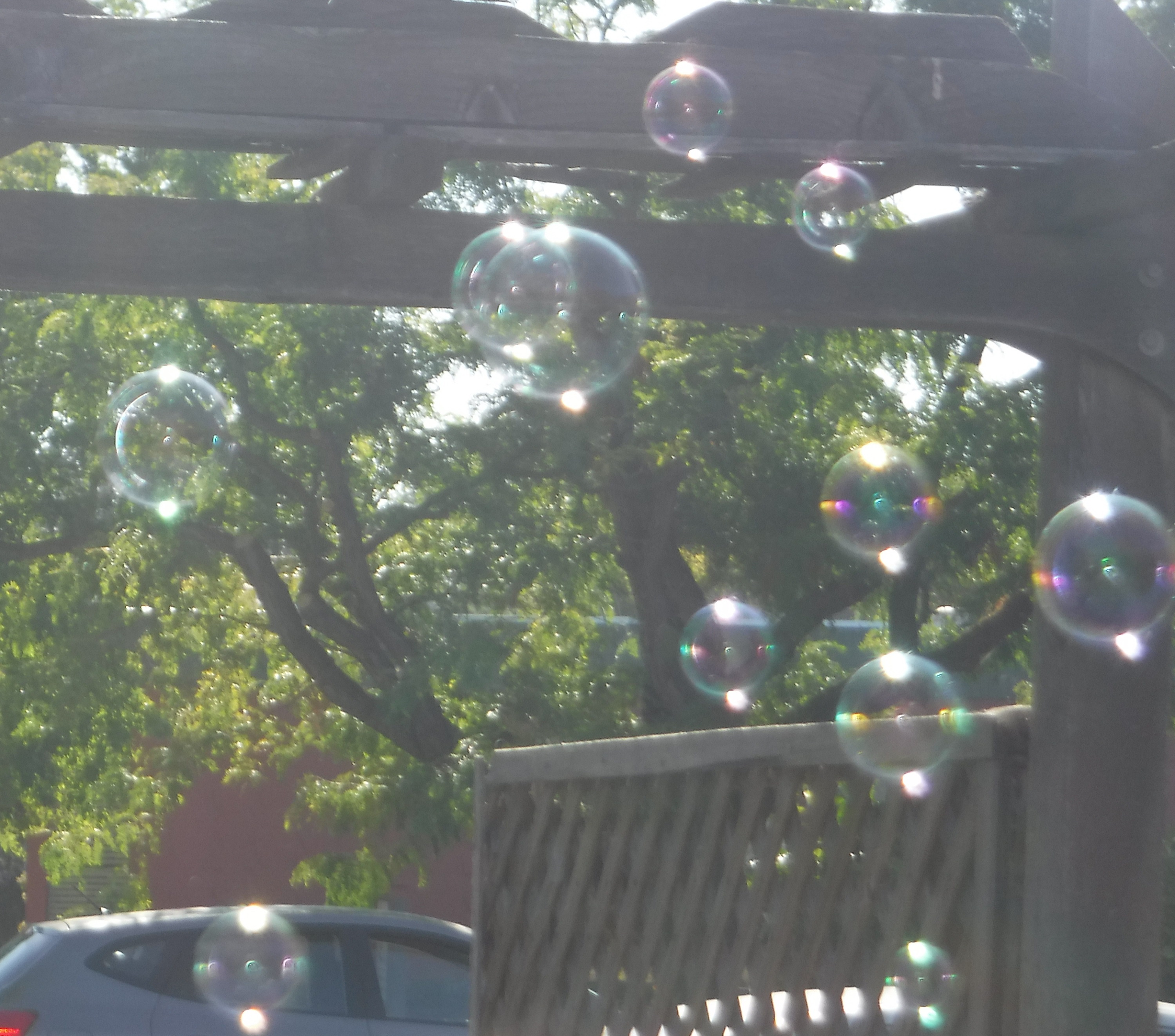 Photo I took of bubbles at work 7-19 Photo I took of bubbles at work 7-19