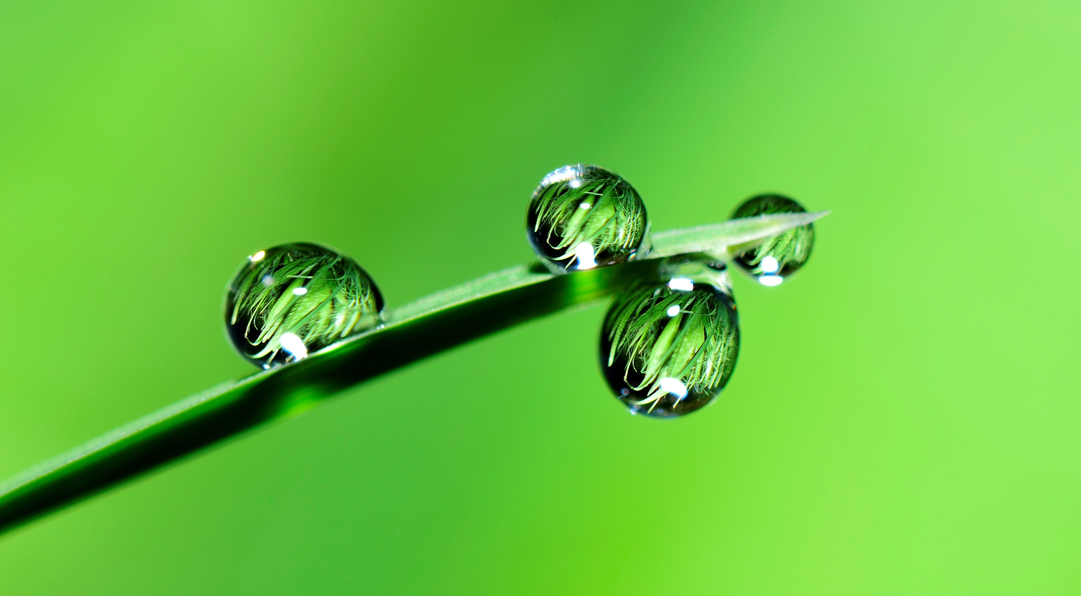 Image by ju Irun from Pixabay Image by ju Irun from Pixabay