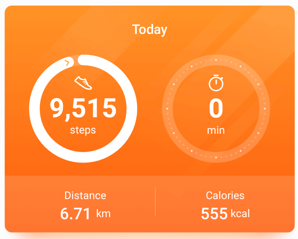 Walking Exercise Record