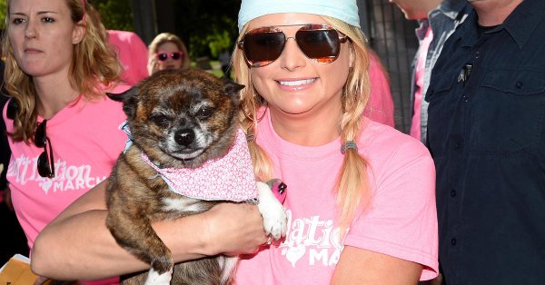 Mutts Across America is making an impact nationwide Mutts Across America is making an impact nationwide