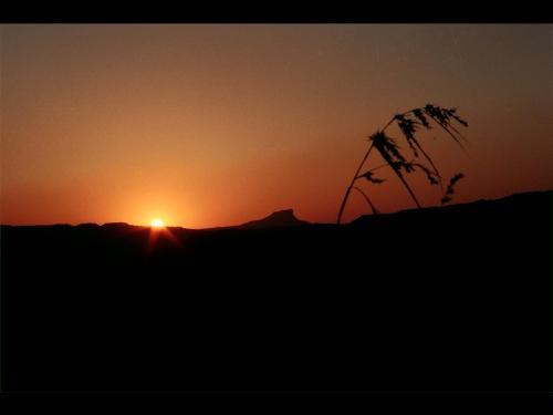 Sunset - Sun is setting down
