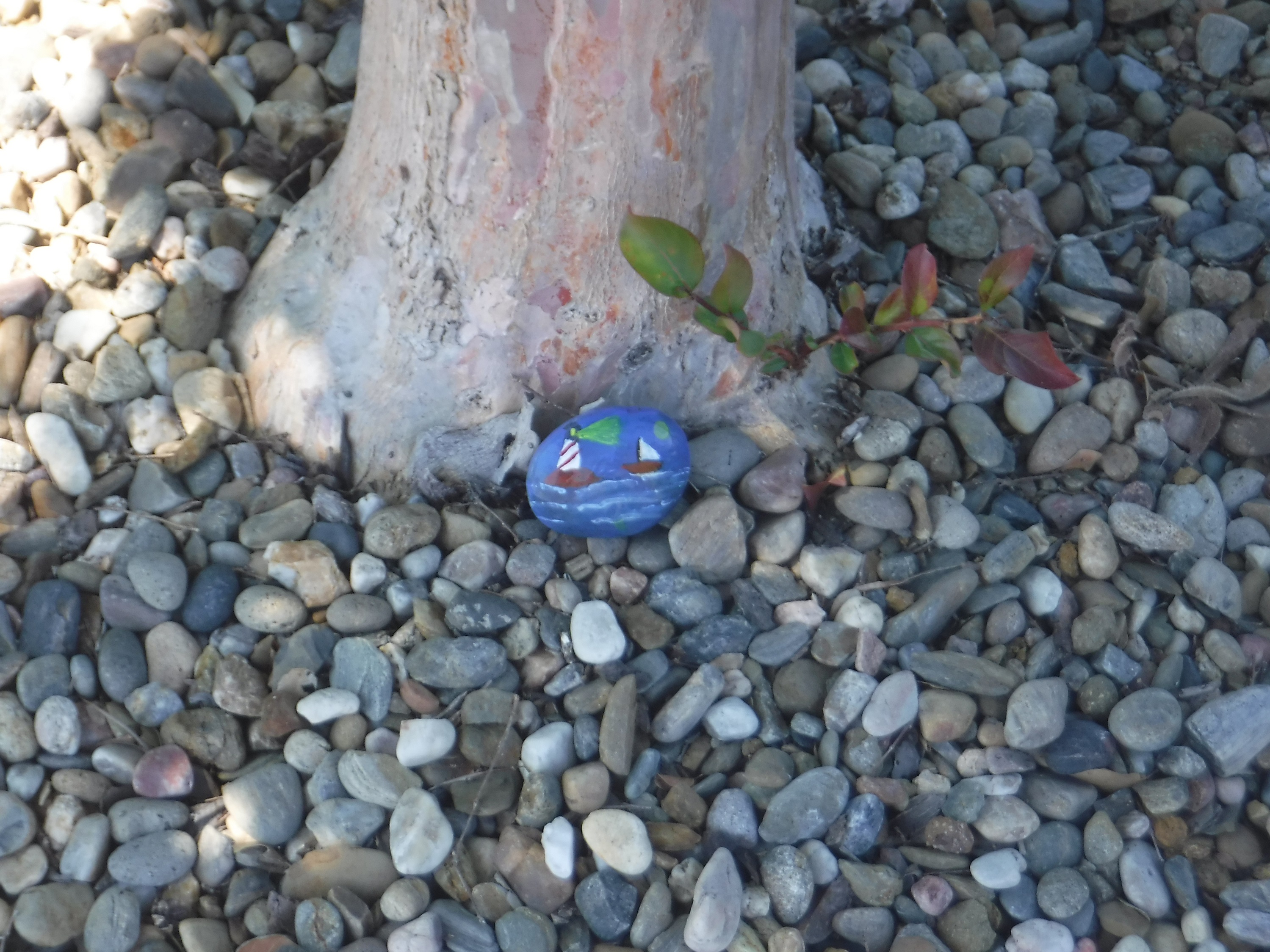 Photo I took of my second hidden/placed rock Photo I took of my second hidden/placed rock