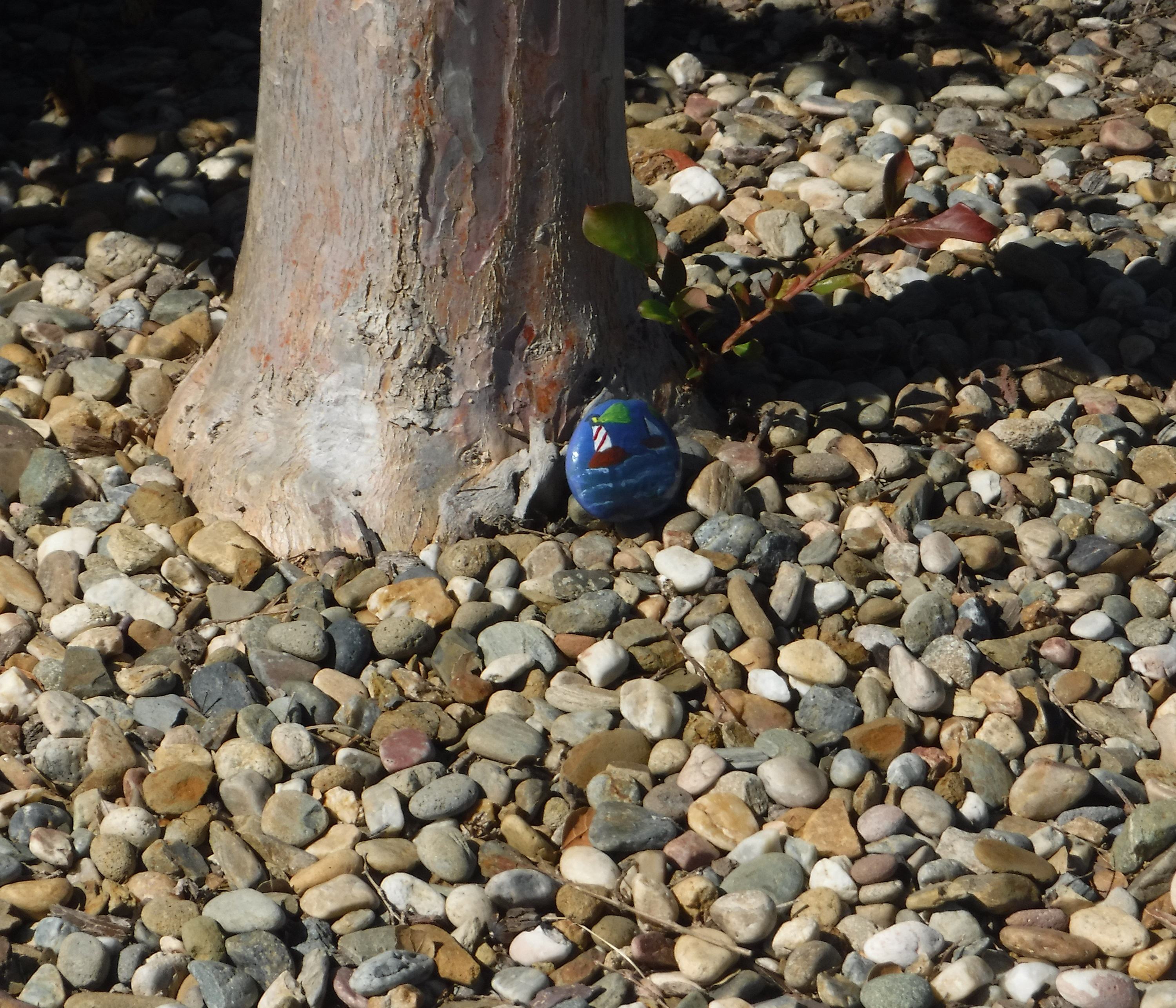 Photo I took today of my rock that's still where I placed it. Photo I took today of my rock that's still where I placed it.