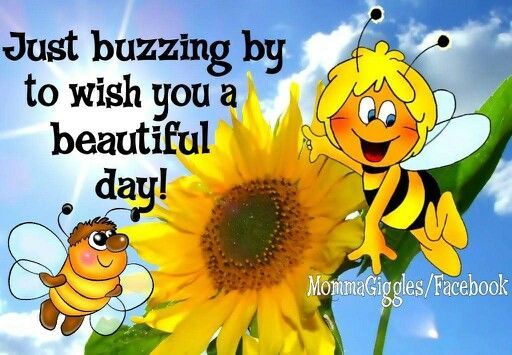 http://www.lovethispic.com/image/353646/just-buzzing-by-to-wish-you-a-beautiful-day