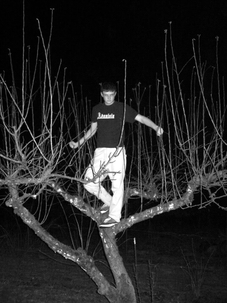 Me at 19 being Emo in a tree