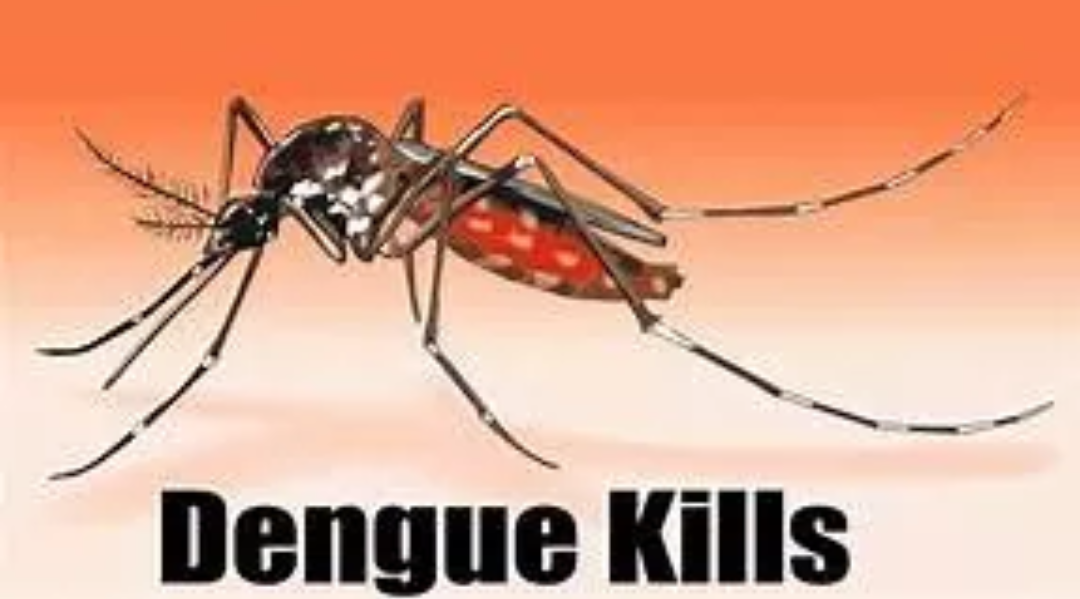 Dengue Mosquito Dengue Mosquito