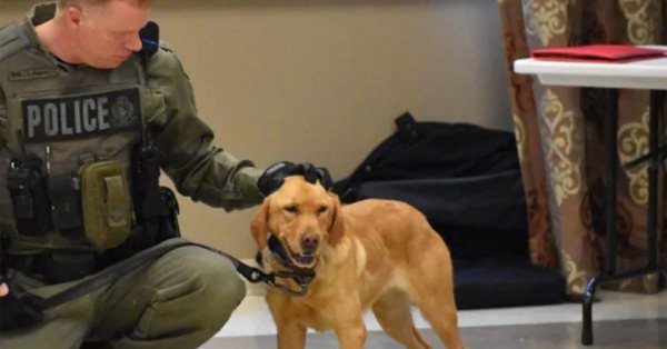 Zoe the police dog and her owner Scott Gannon Zoe the police dog and her owner Scott Gannon