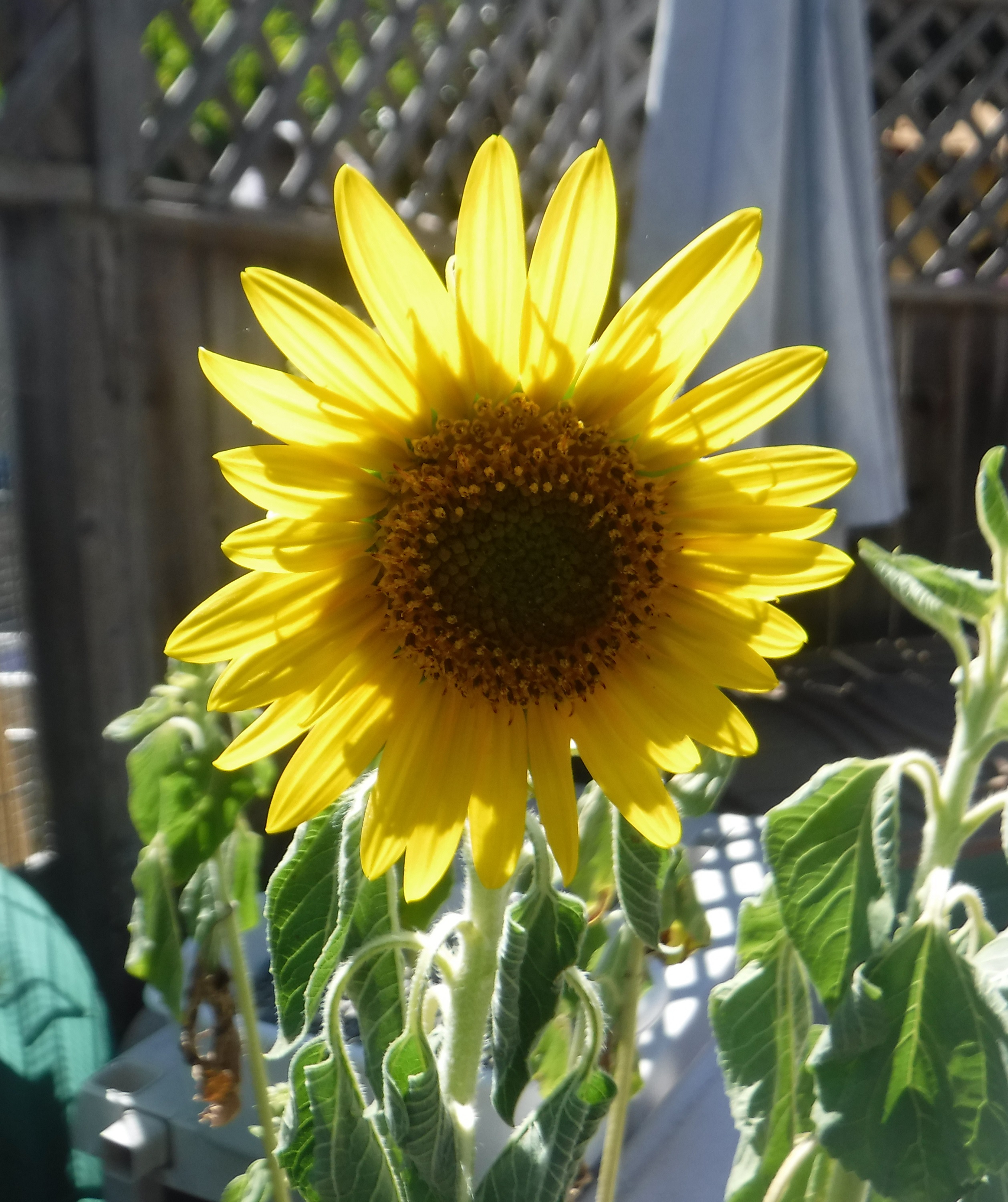 Photo taken by me at work today 7-24-19 Photo taken by me at work today 7-24-19