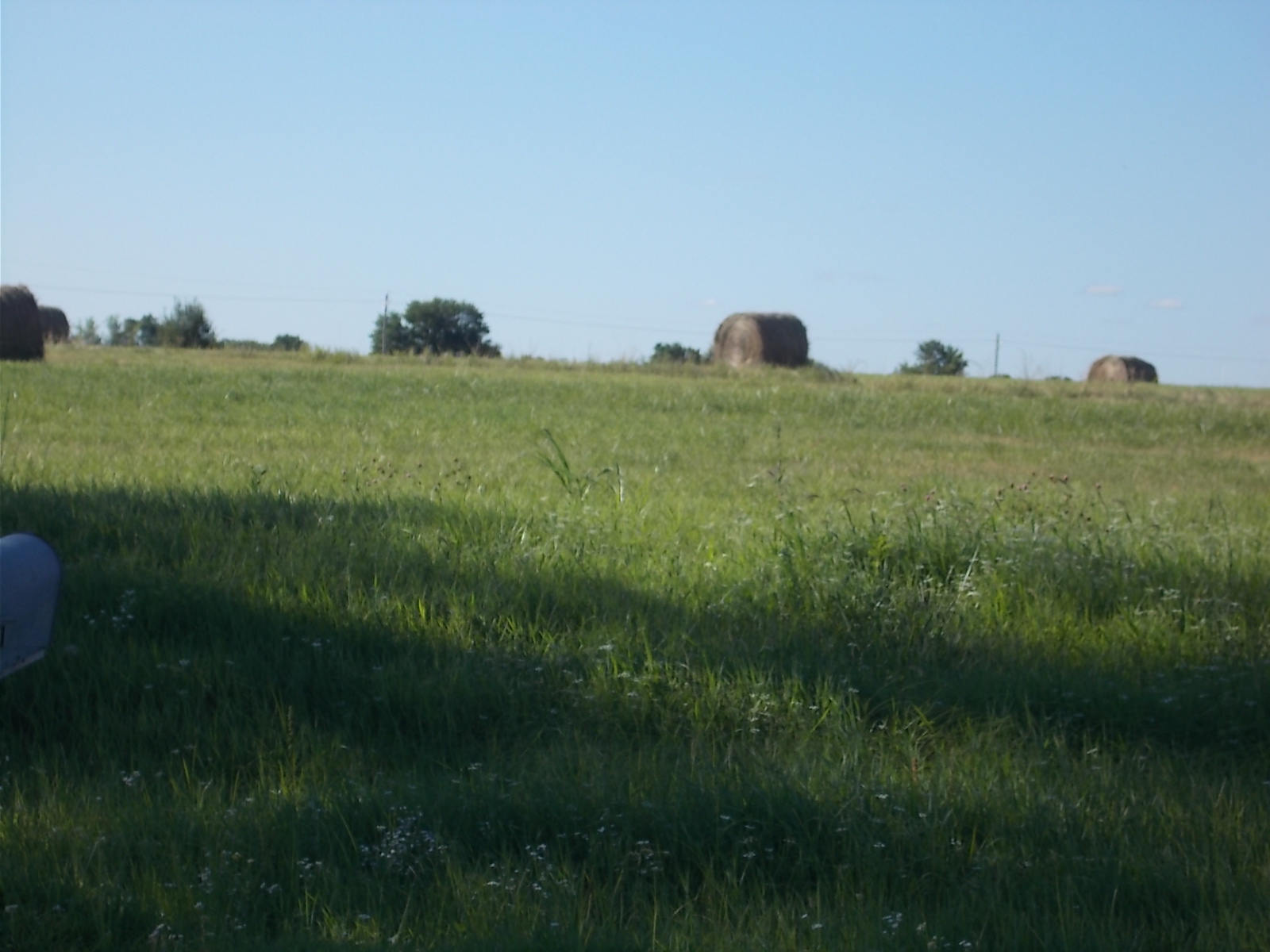 Large round hay bales Large round hay bales