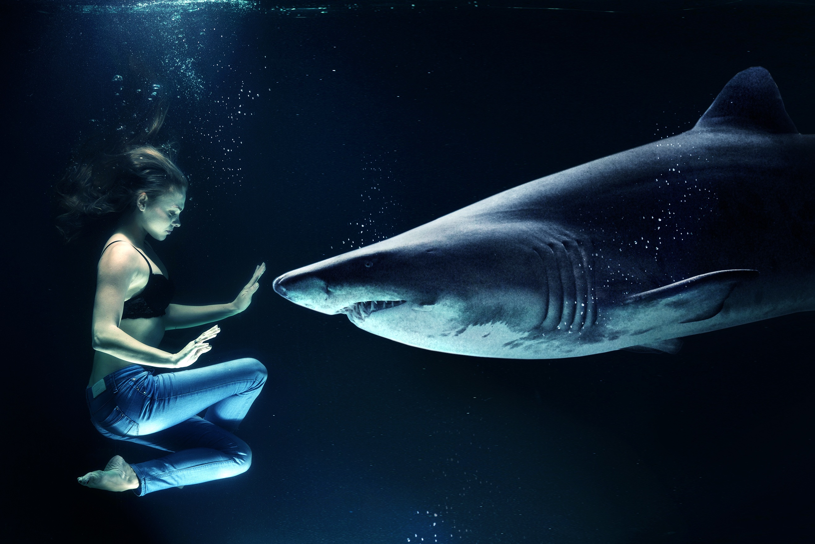 Image by Sarah Richter from Pixabay Image by Sarah Richter from Pixabay
