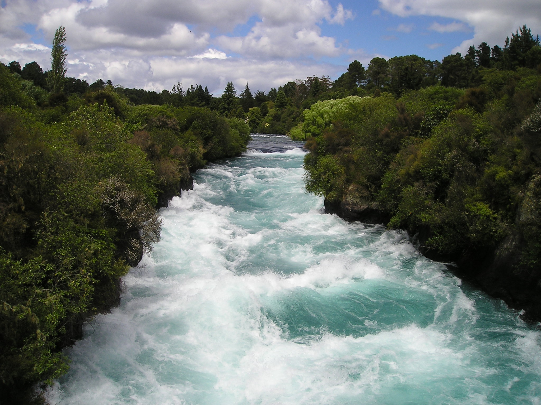 Image by Simon Steinberger from Pixabay Image by Simon Steinberger from Pixabay