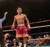 pacquiao beats morales - pacland