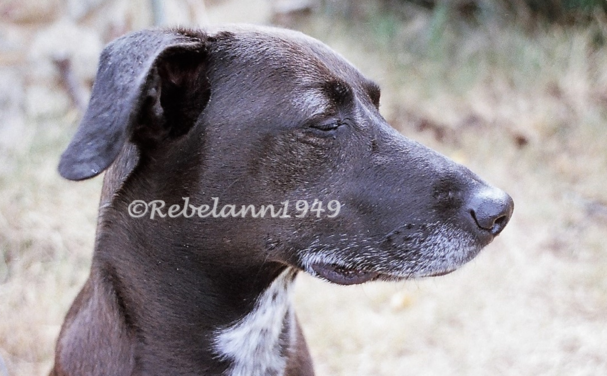 I took this picture right around 1992 with a Nikon 35mm film camera