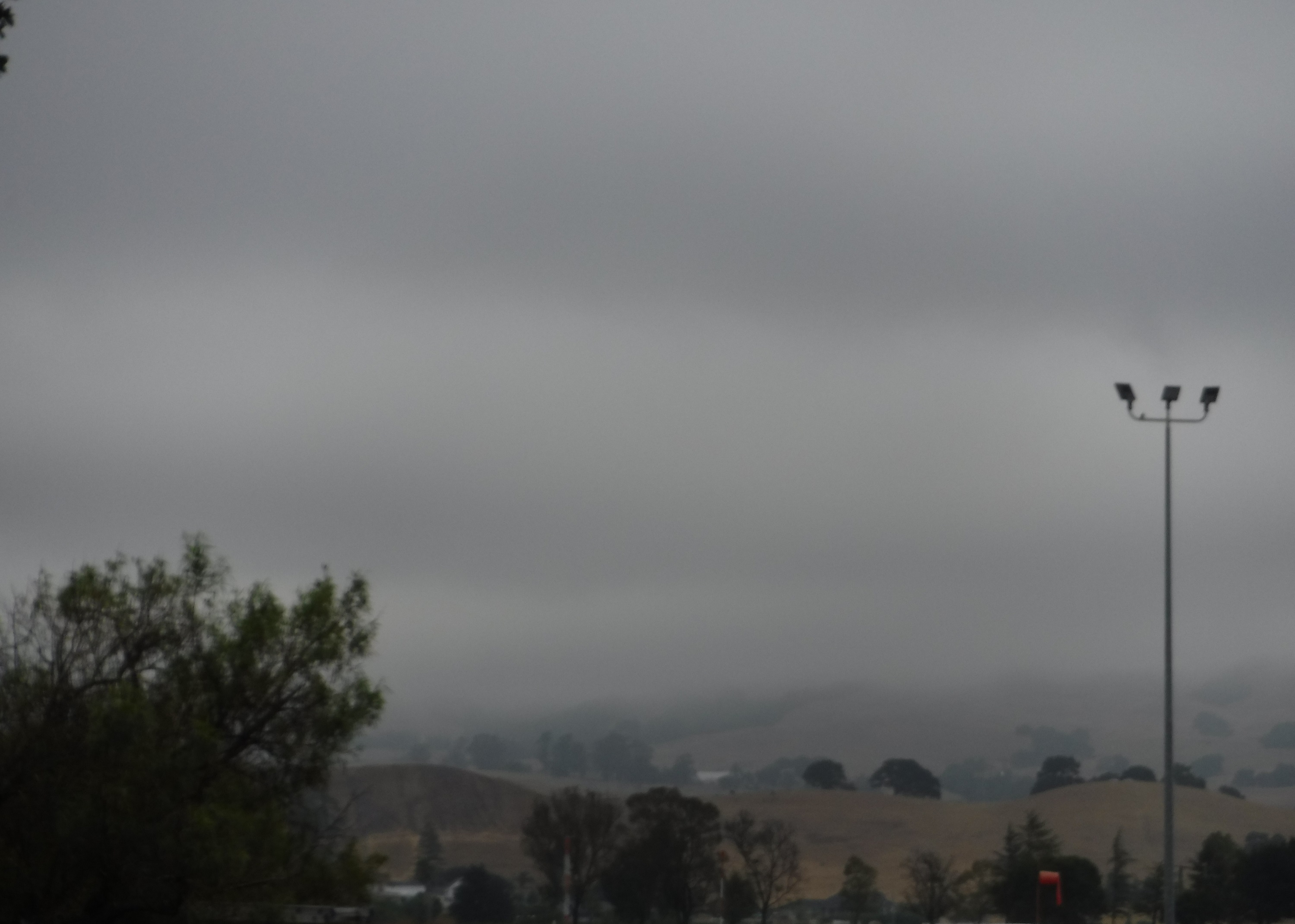 Photo I took of the fog this morning Photo I took of the fog this morning
