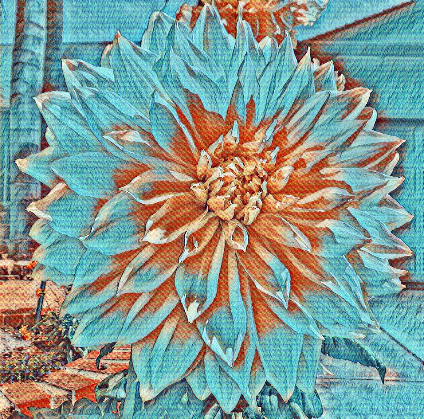 Photo taken by me, cropped and Van Gogh effect on LunaPic.com