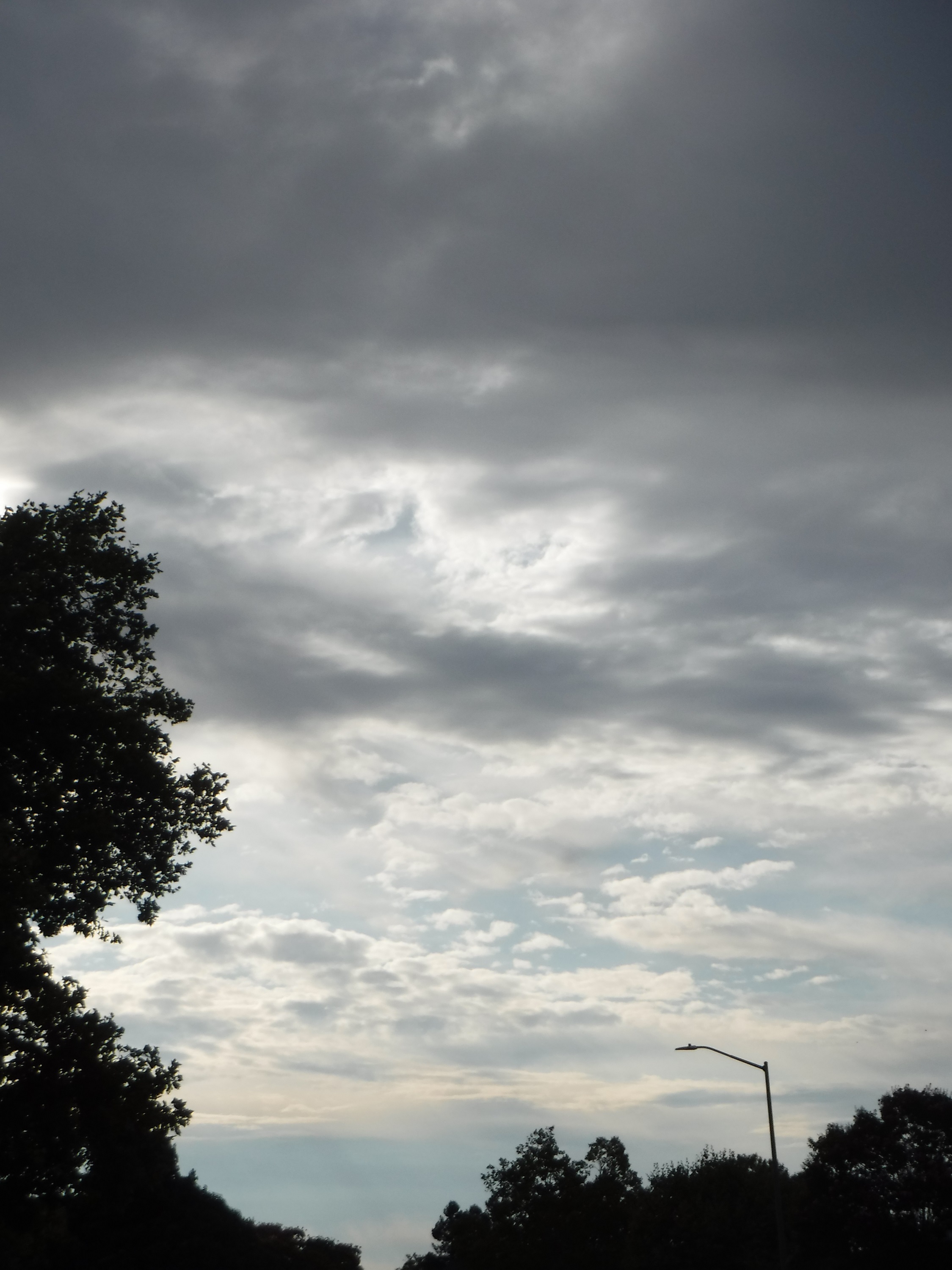 Photo taken by me 9=8-9-19 Photo taken by me 9=8-9-19